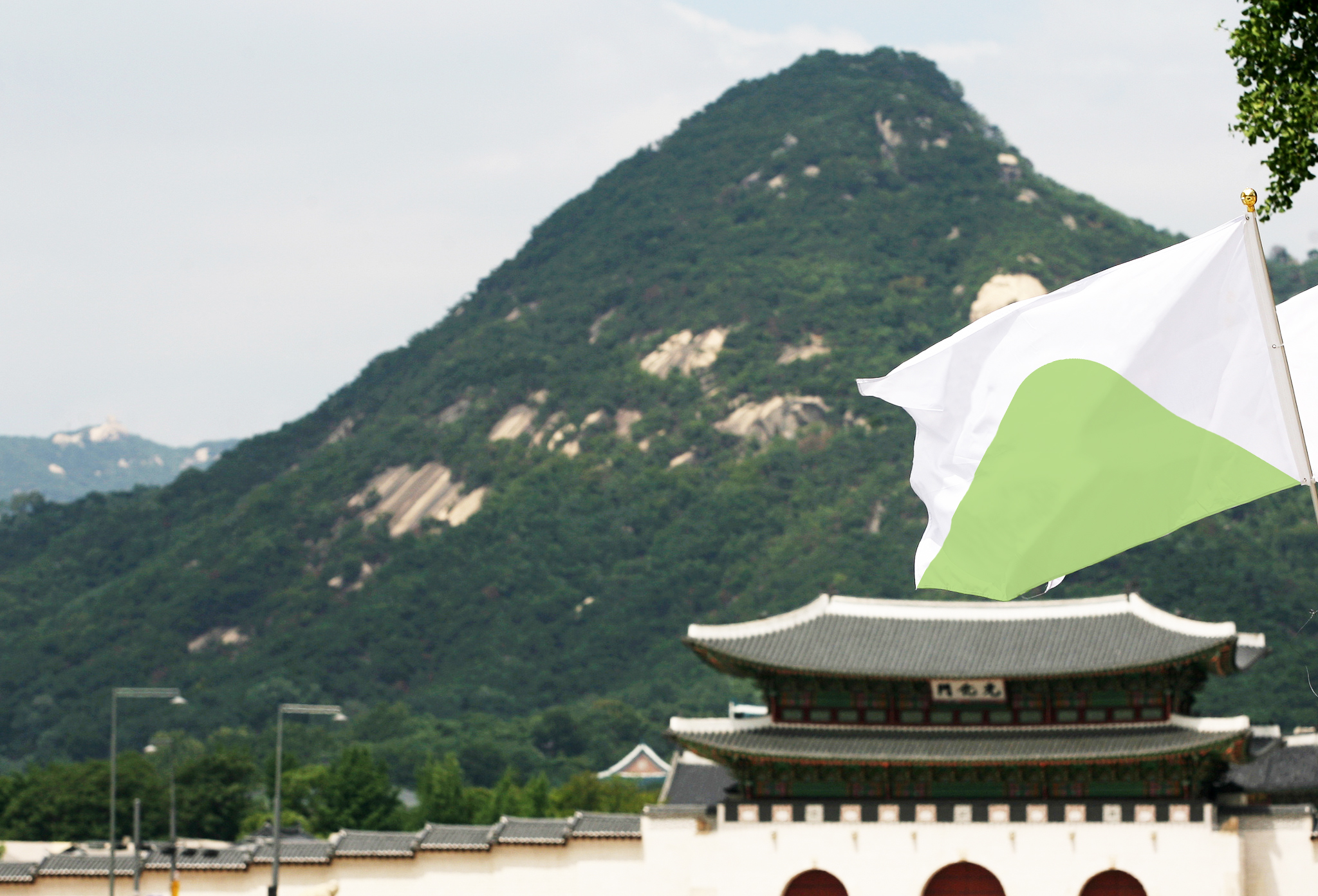 United Korea Flag